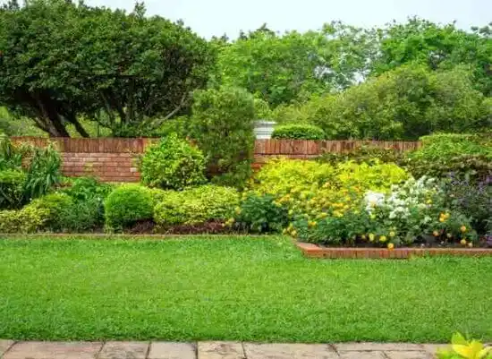 landscaping services Belgrade